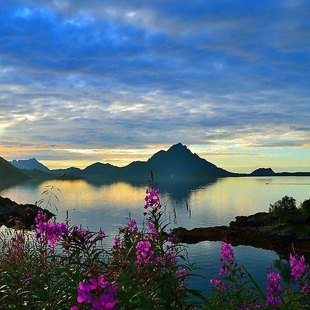 Skjellbogen Hyttegrend Sortland Bagian luar foto