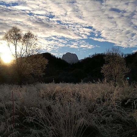 Skjellbogen Hyttegrend Sortland Bagian luar foto