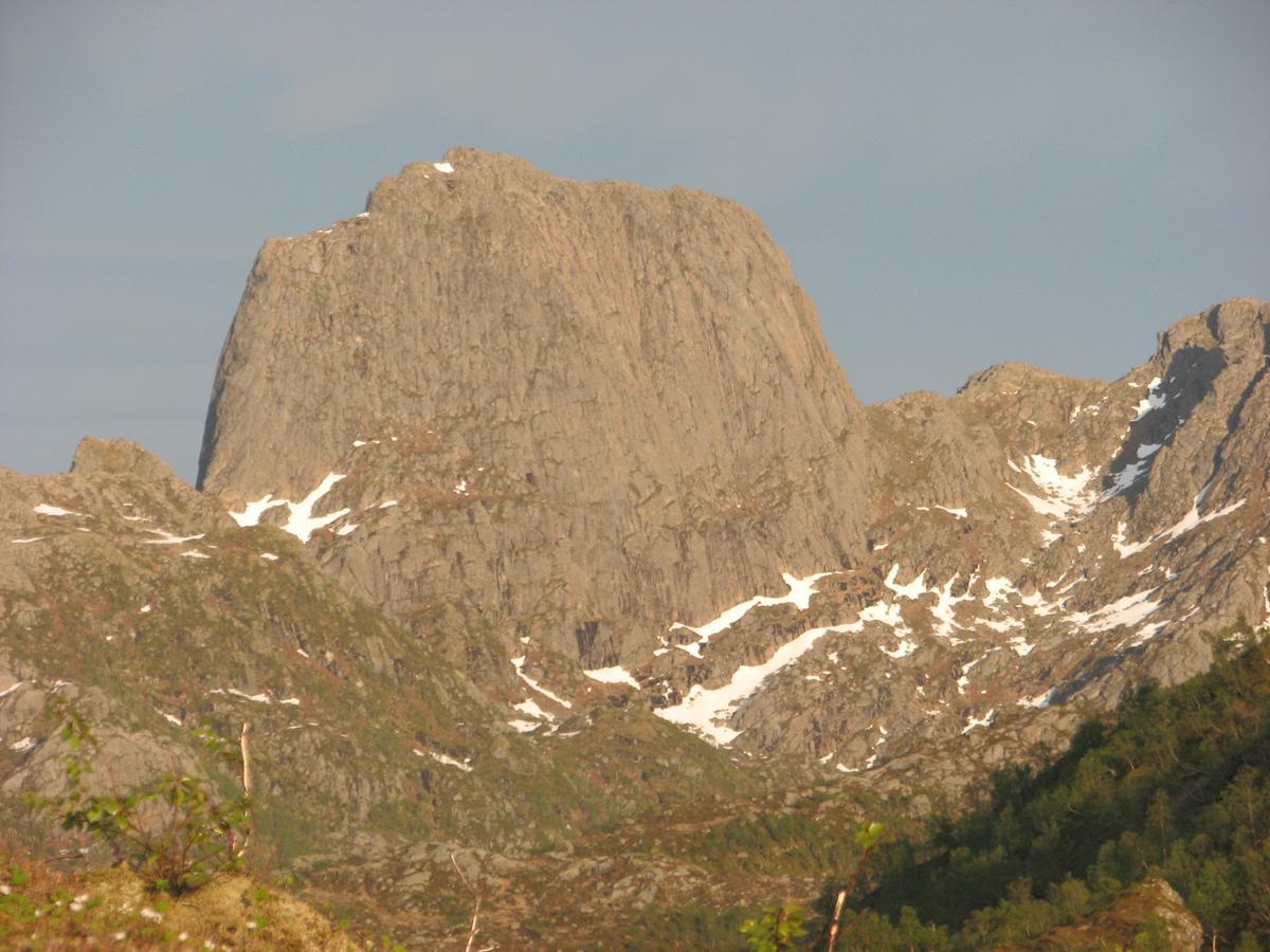 Skjellbogen Hyttegrend Sortland Bagian luar foto