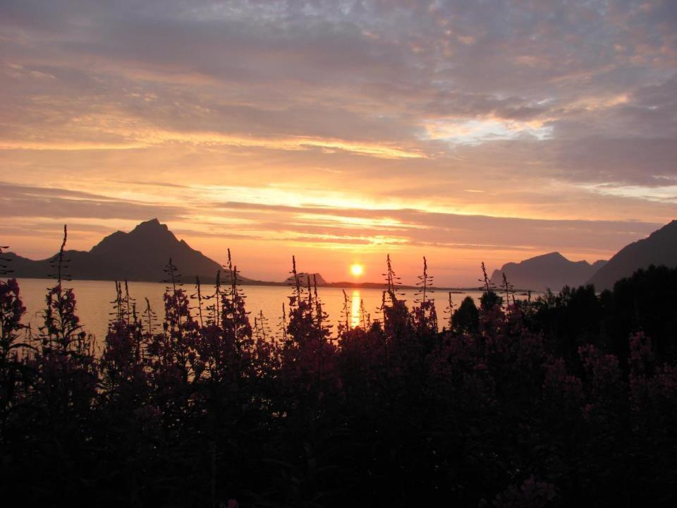 Skjellbogen Hyttegrend Sortland Bagian luar foto